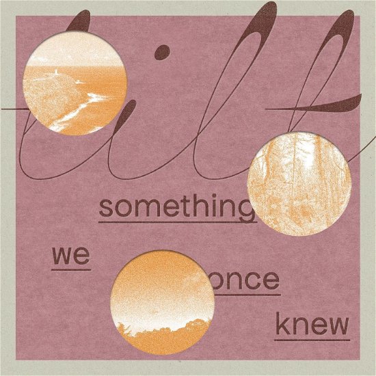 Cover for Tilt · Something We Once Knew (LP) (2024)