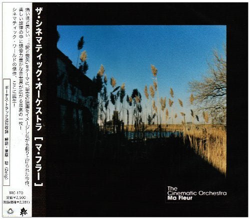 Cover for Cinematic Orchestra · Ma Fleur (CD) [Japan Import edition] (2007)