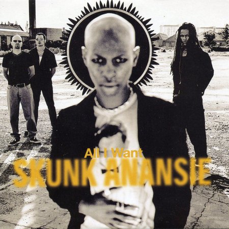 Cover for Skunk Anansie · All I Want (CD) [Limited edition]