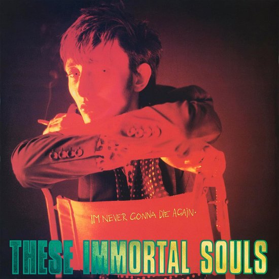 Cover for These Immortal Souls · I'm Never Gonna Die Again (CD) (2024)