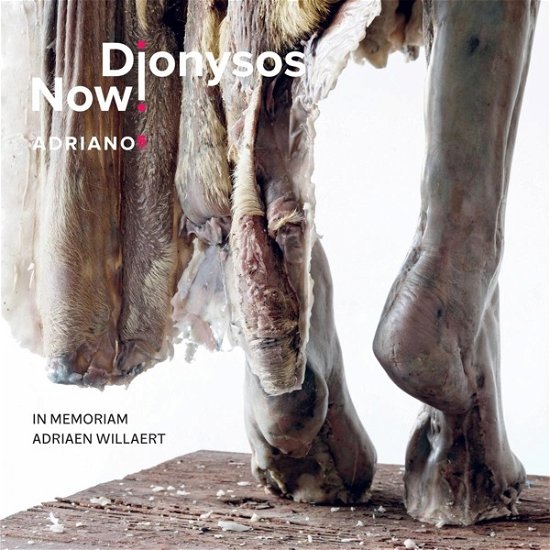 Cover for Dionysos Now! · Adriano 5 (CD) (2024)