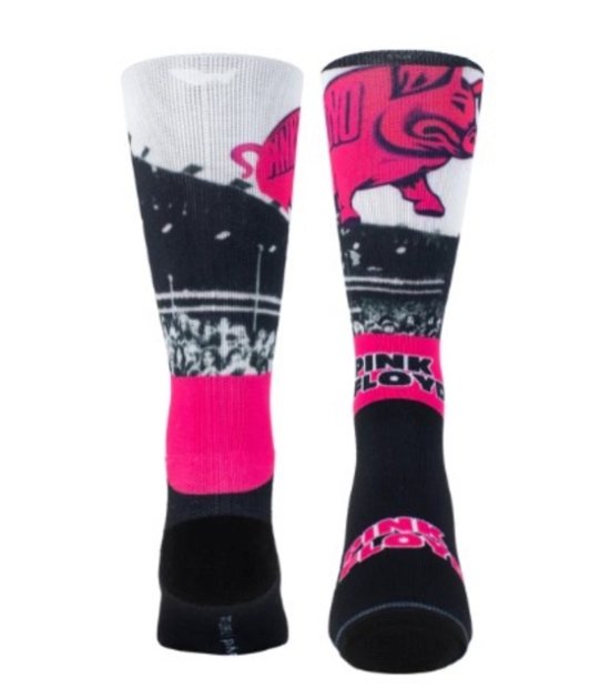 Cover for Pink Floyd · Pink Floyd Pigs Socks (One Size) (MERCH)