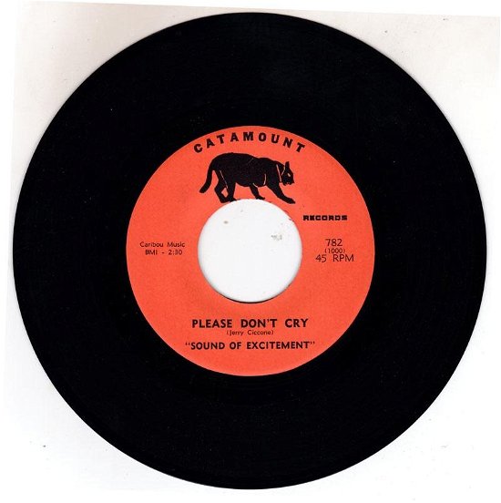 Please Don't Cry / Why Did You Go (Digital 45) - Sound of Excitement - Musik -  - 0894232821126 - February 21, 2023