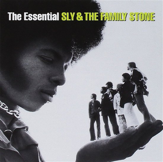 Cover for Sly &amp; the Family Stone · Essential Sly &amp; the Family Sto (CD)