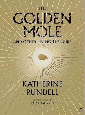 Cover for Katherine Rundell · The Golden Mole (Paperback Book) (2023)