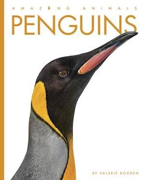 Cover for Valerie Bodden · Penguins (Bog) (2022)