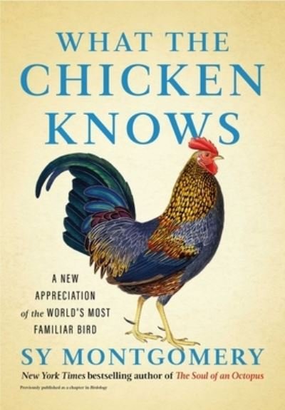 Cover for Sy Montgomery · What the Chicken Knows: A New Appreciation of the World's Most Familiar Bird (Gebundenes Buch) (2024)