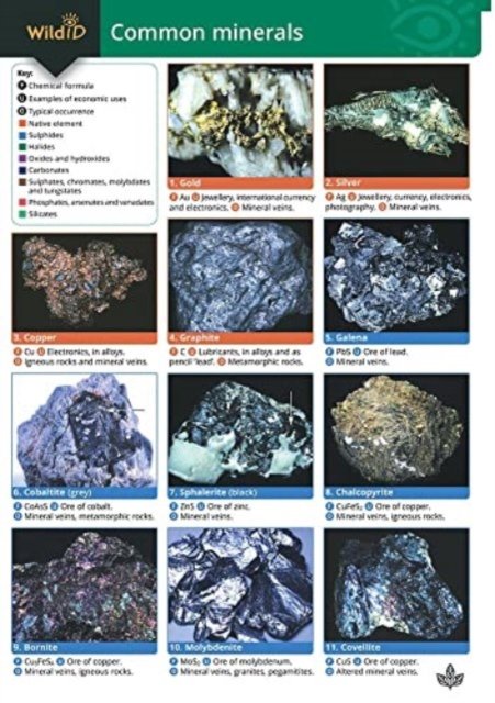 Cover for Chris Pellant · Guide to Common Minerals (Kort) (2004)