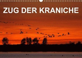 Cover for Bia Birdimagency · Zug der Kraniche (Wandkalender 2022 DIN A3 quer) (Calendar) (2021)