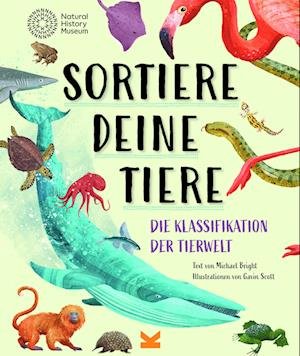 Cover for Michael Bright · Sortiere deine Tiere (Bog) (2024)