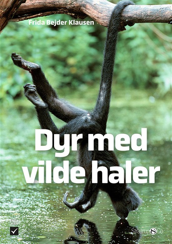 Cover for Frida Bejder Klausen · Maxi: Dyr med vilde haler (Innbunden bok) [1. utgave] (2024)