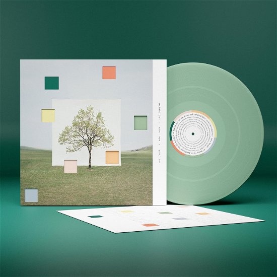 Cover for Washed out · Notes from a Quiet Life (Loser Edition Yellowy Green Vinyl) (LP) (2024)